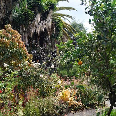 Villa La Casita Del Jardinero Los Llanos De Aridane Exterior foto