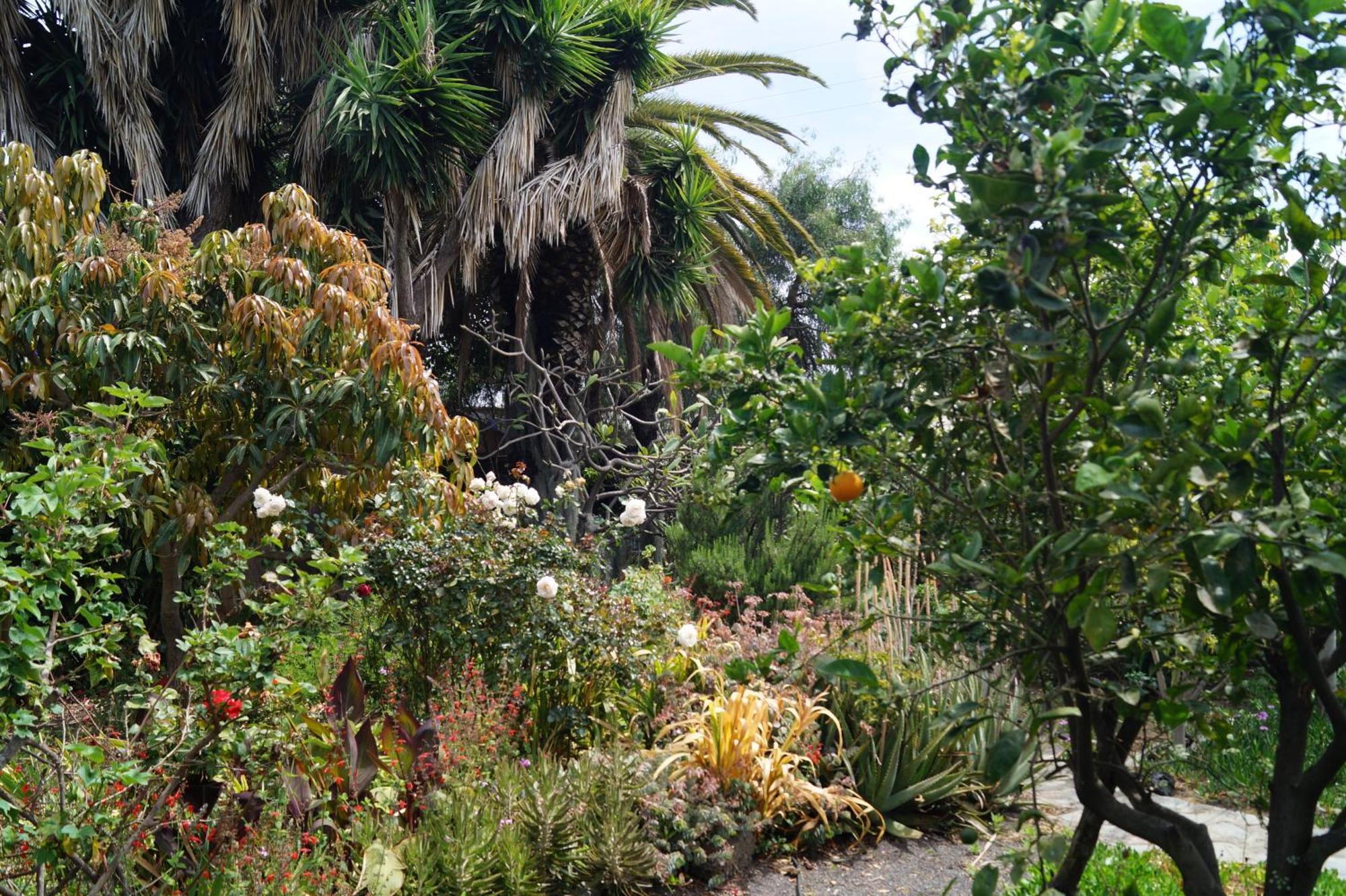 Villa La Casita Del Jardinero Los Llanos De Aridane Exterior foto